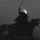 safander12