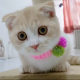 Yuioop